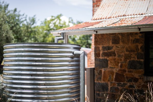 Récupérateur d'eau pas cher : astuces pour bien choisir !